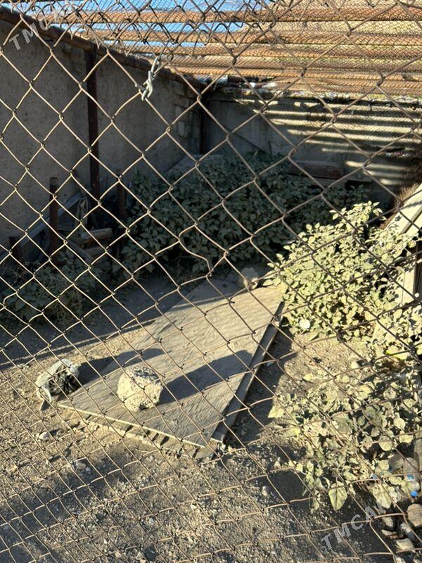 garaž - Balkanabat - img 2