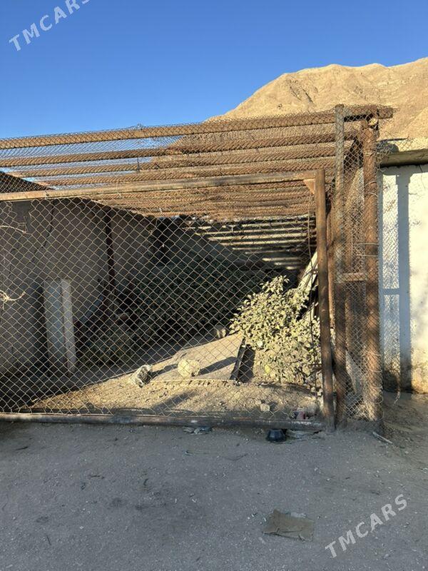 garaž - Balkanabat - img 4