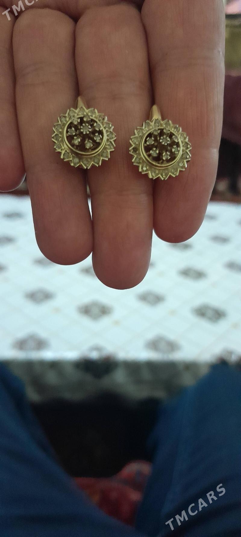 Altyn syrga - Daşoguz - img 2