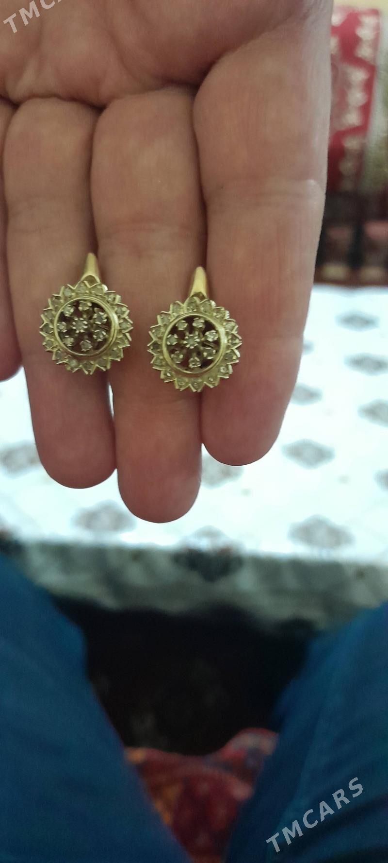 Altyn syrga - Daşoguz - img 3