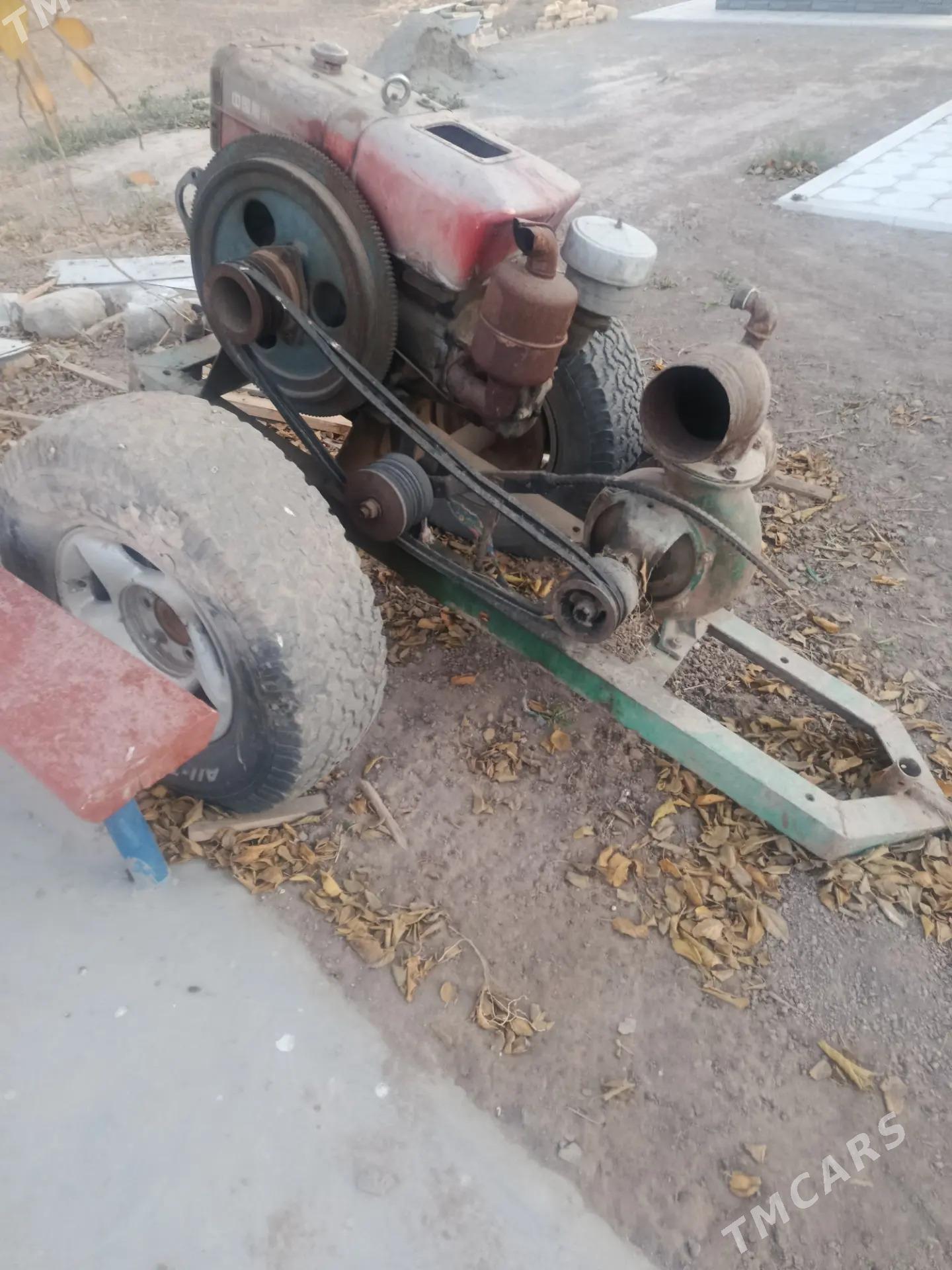 дук дук гасоз - Şabat etr. - img 1