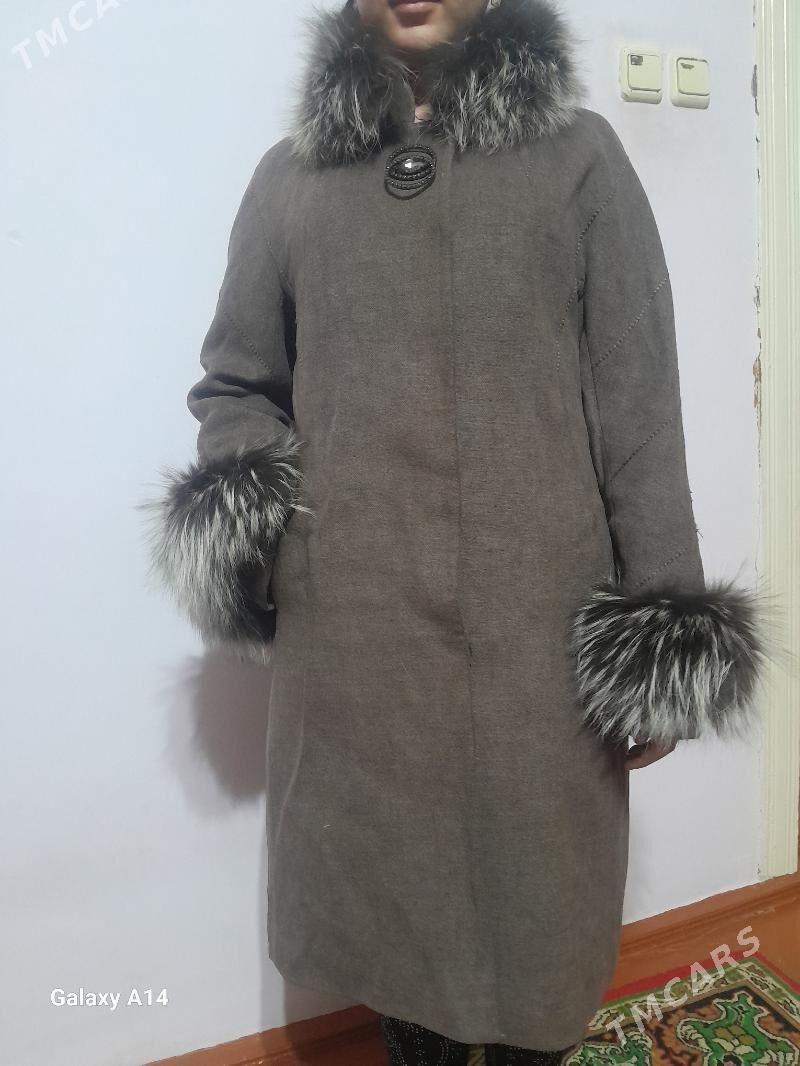 palto - Daşoguz - img 1