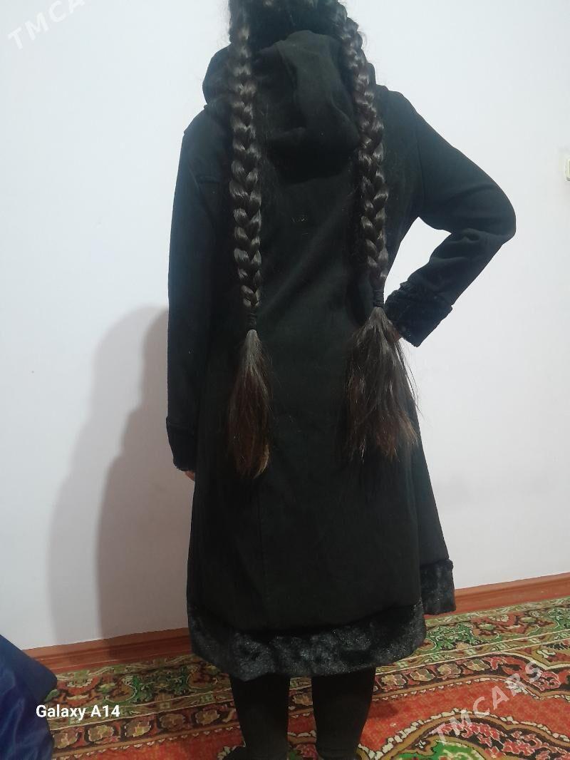 palto - Daşoguz - img 2