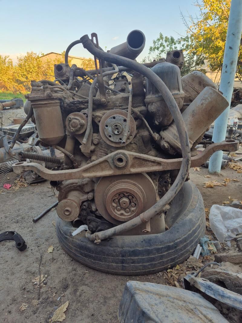 Mator 50 000 TMT - Ашхабад - img 5