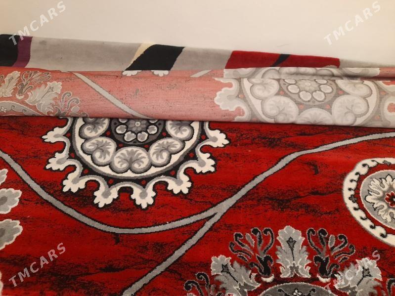 Haly - 5 mkr - img 2