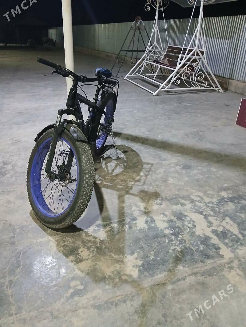 Welisoped - Sakarçäge - img 3