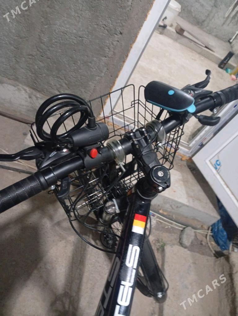 tigir - Кипджак - img 3