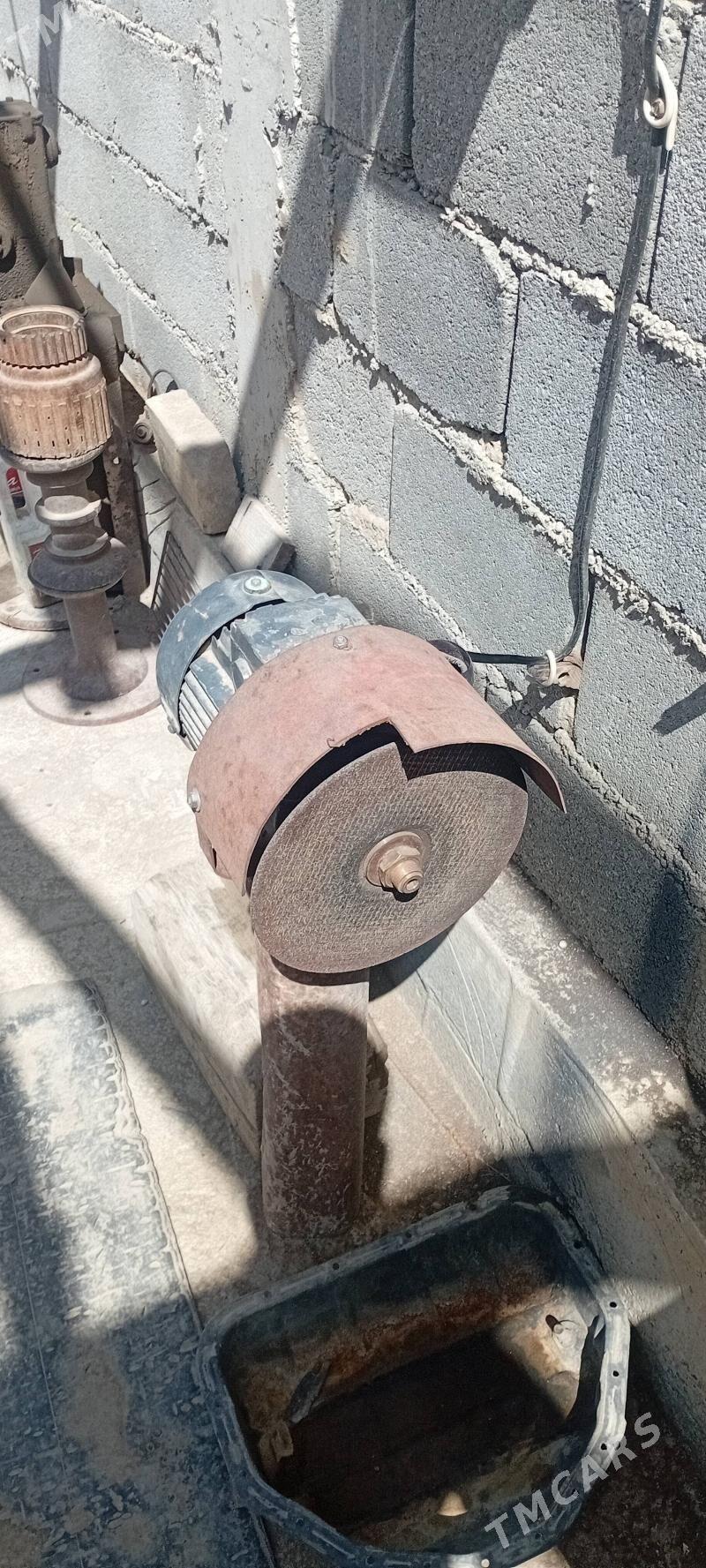 Tacila - Magtymguly - img 2