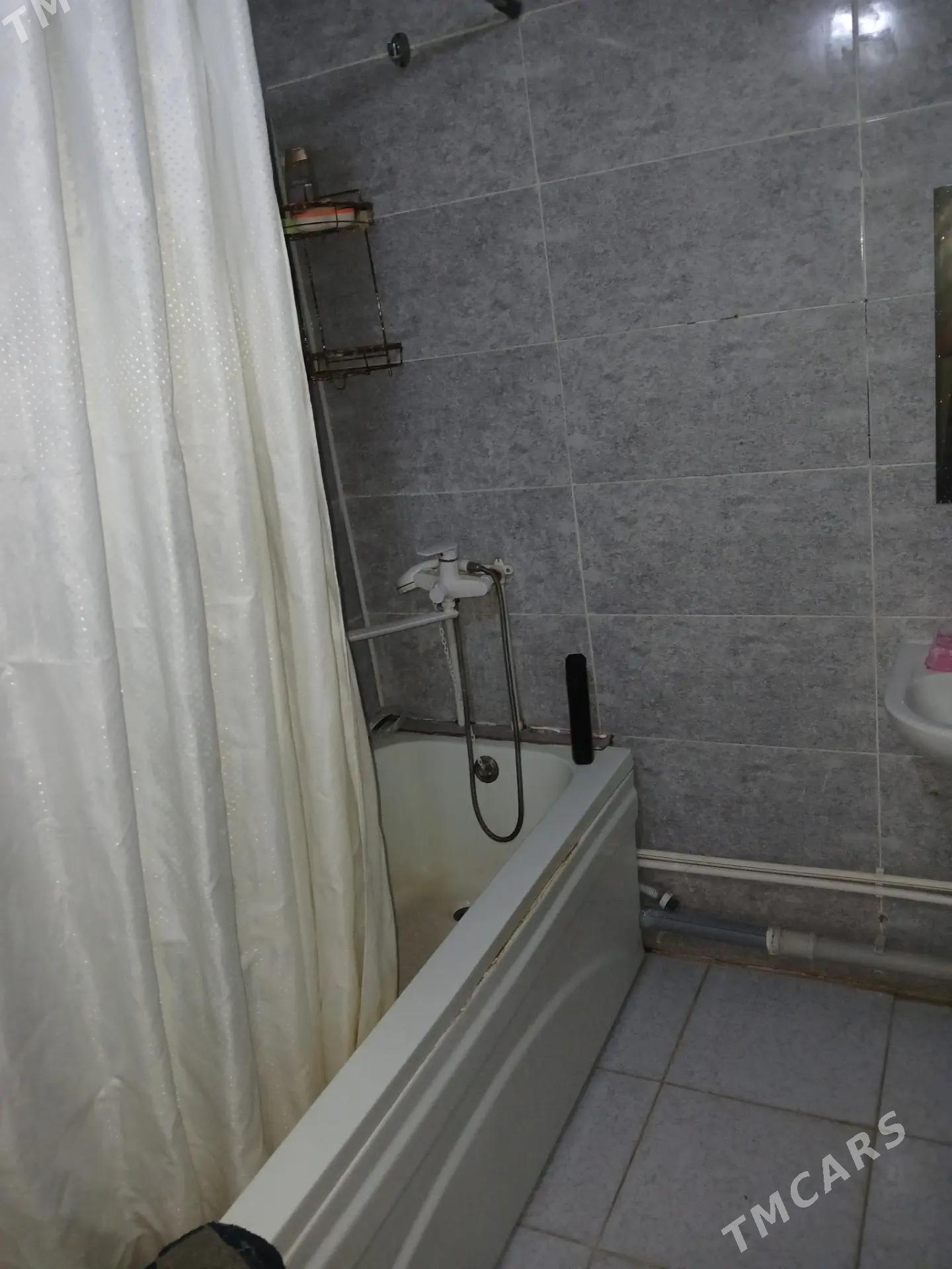 jay - Ak bugdaý etraby - img 4