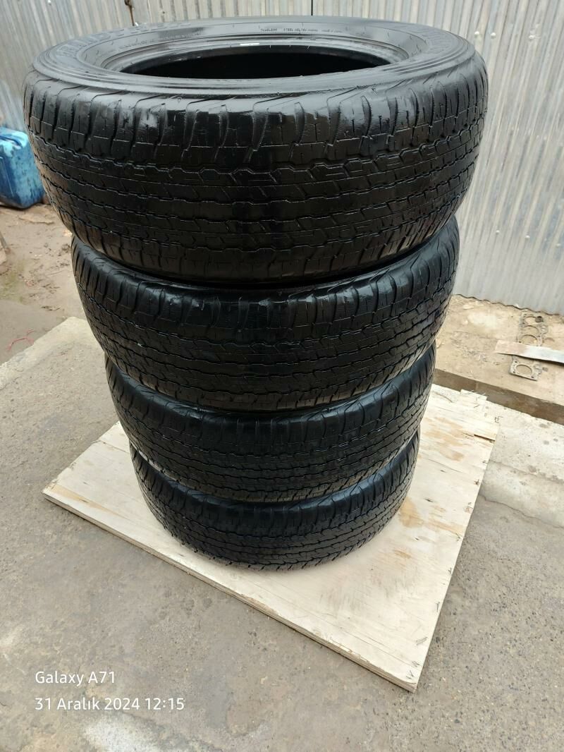 Pakryska 265.60.18 Dunlop 1 000 TMT - Mary - img 6