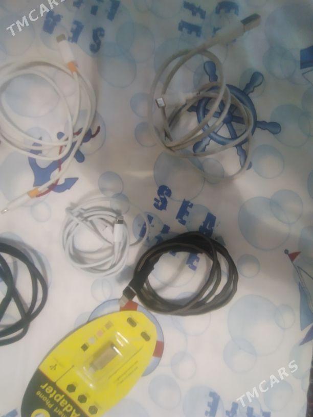 zarýatnik - Анев - img 4