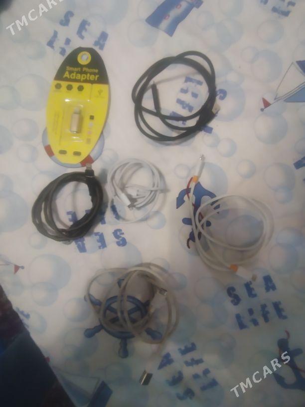 zarýatnik - Анев - img 6