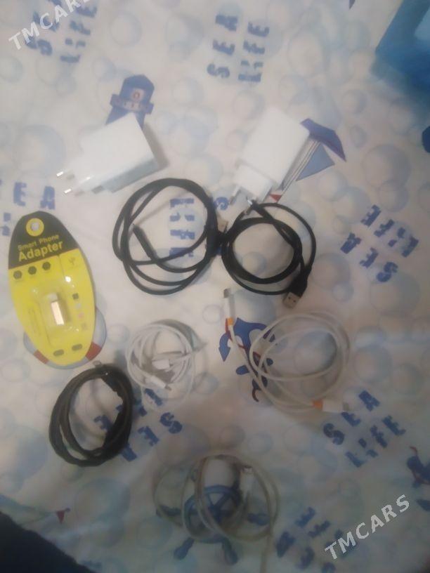 zarýatnik - Анев - img 3