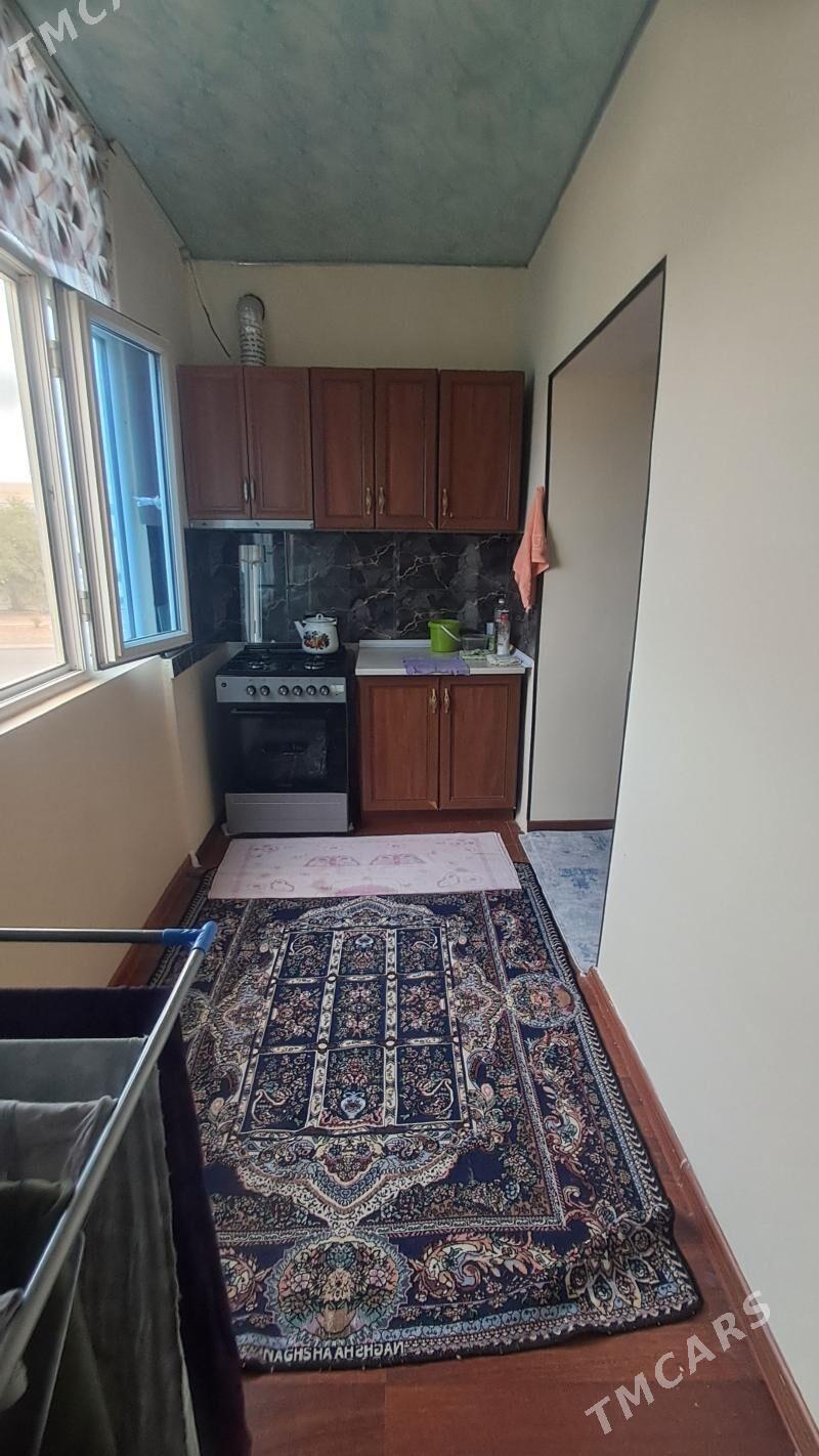 Satlyk jay - Büzmeýin - img 7