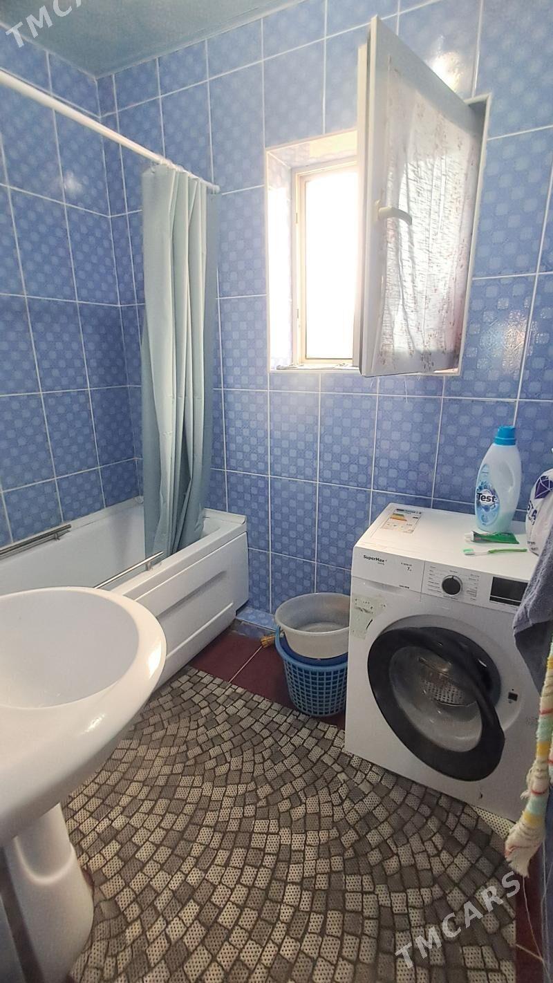 Satlyk jay - Büzmeýin - img 4