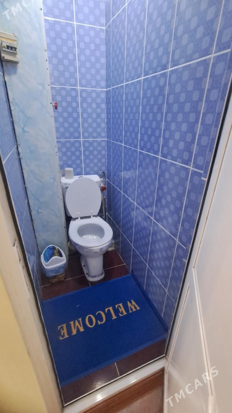 Satlyk jay - Büzmeýin - img 5