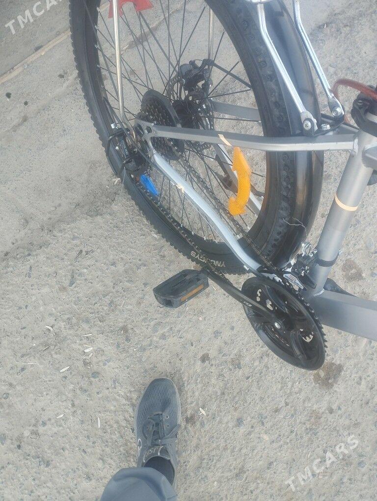 welsopedler - Байрамали - img 3