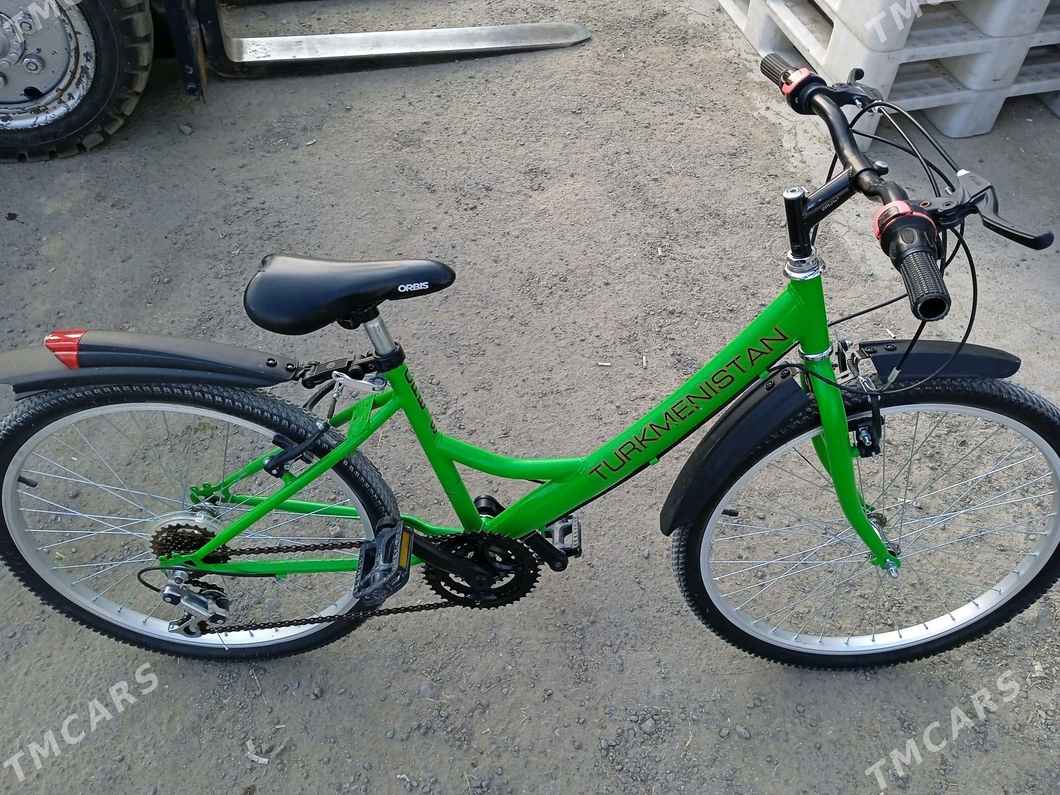 tigir Turkmenistan - Бахарден - img 2