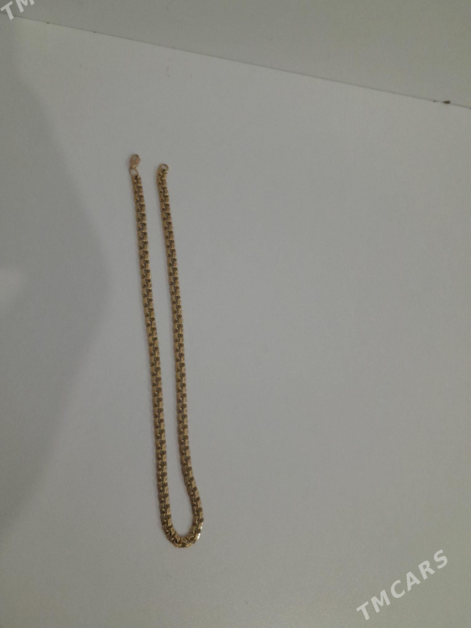 gyzyl kardinal - Аркадаг - img 2