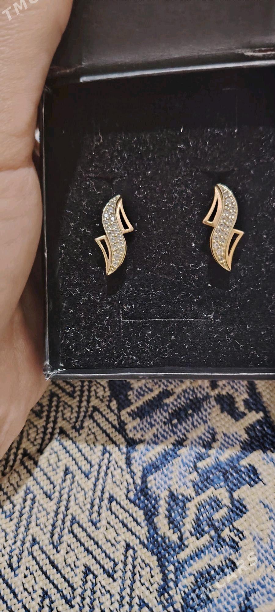 Gulaksyrga - Sakarçäge - img 2