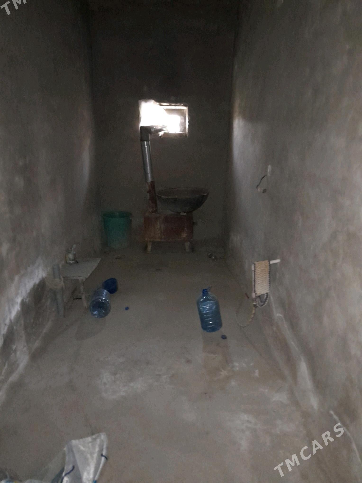 kiwartira - Murgap - img 6