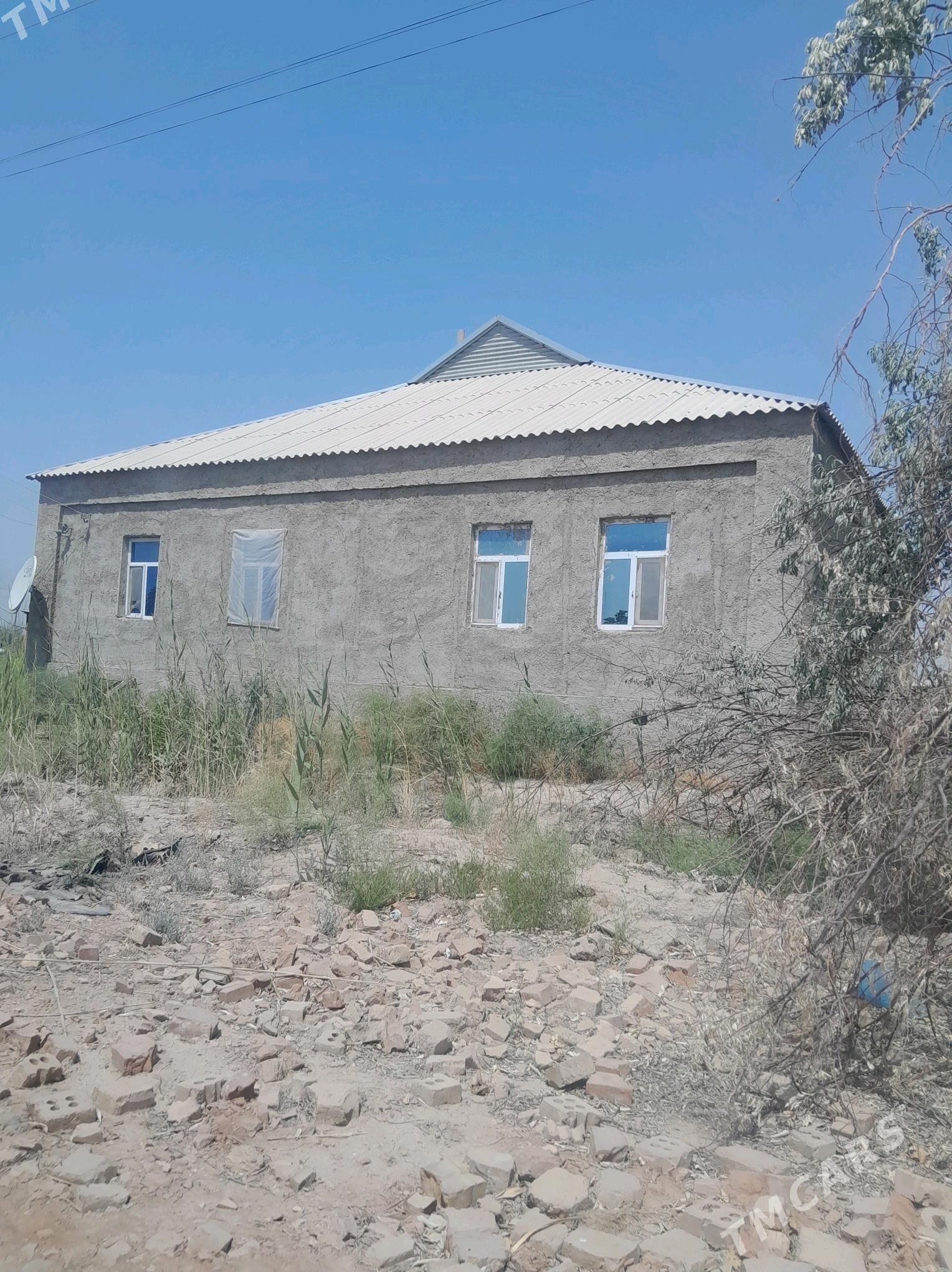 kiwartira - Murgap - img 7