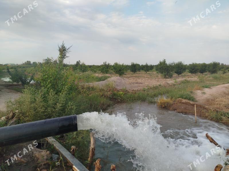 bagchylyk yer 3 ga - Daşoguz - img 2