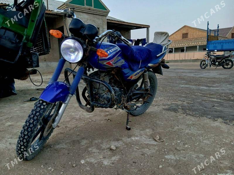 Fekon FK150-8G 2019 - 11 500 TMT - Esenguly - img 4