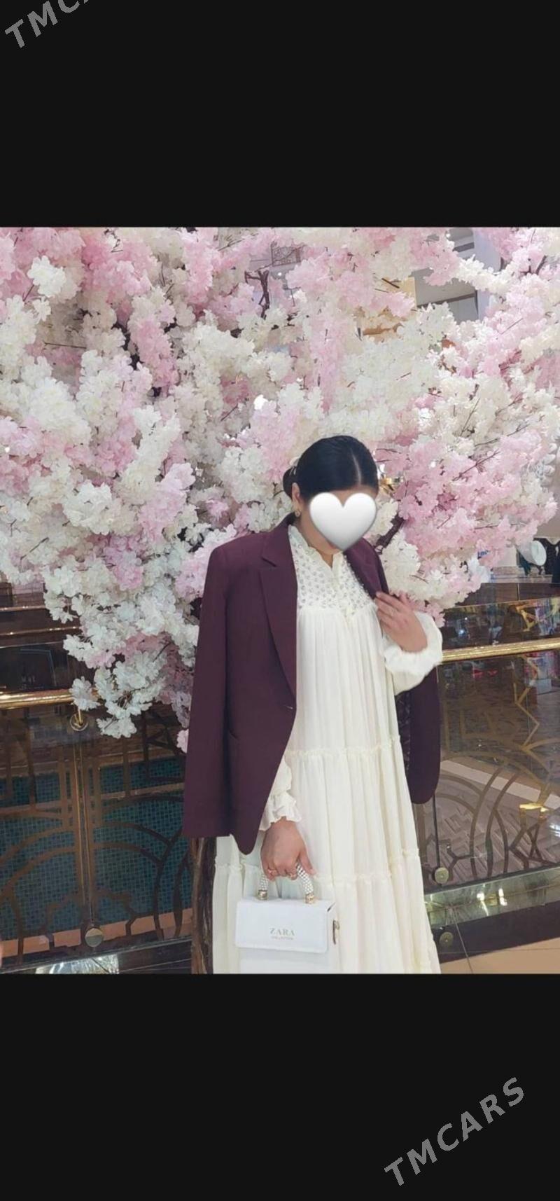 Gatowy turk koynek - Ашхабад - img 2