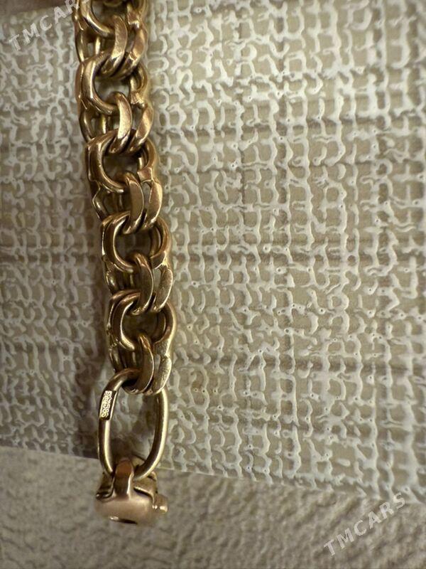 Gyzyl kardinal - Aşgabat - img 4