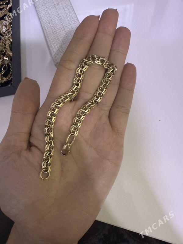 Gyzyl kardinal - Aşgabat - img 2