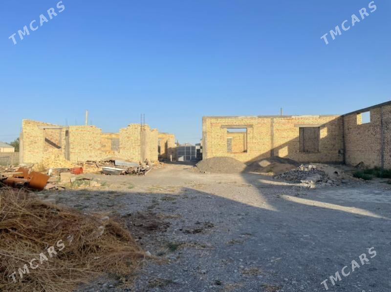 Gökdepe kelejar. - Гёкдепе - img 5