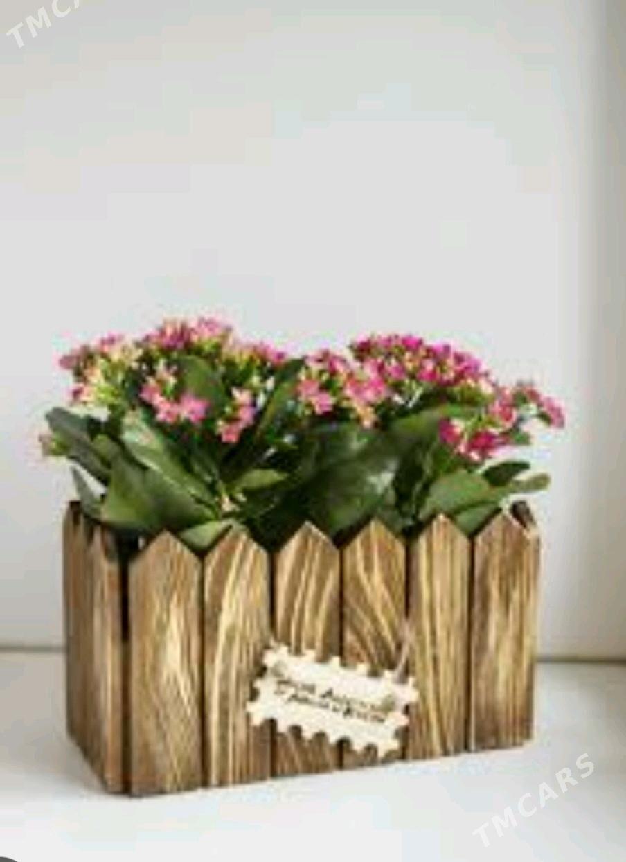 baglaryn gullerin dasy - Ашхабад - img 2