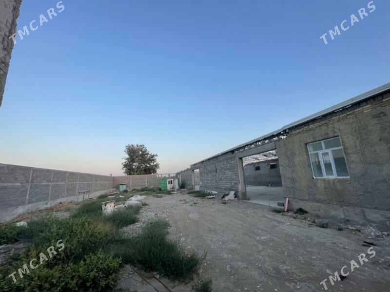 Gökdepe kelejar. - Гёкдепе - img 4