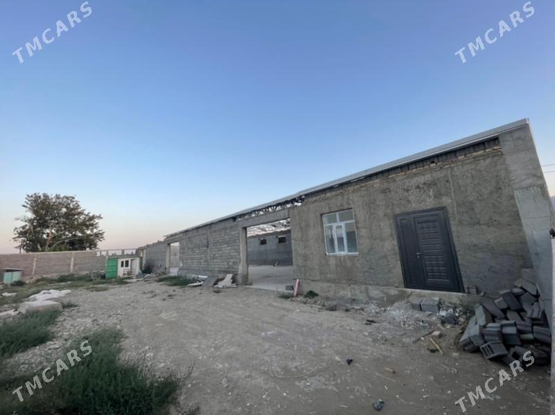 Gökdepe kelejar. - Гёкдепе - img 5