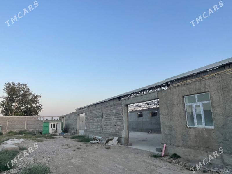 Gökdepe kelejar. - Гёкдепе - img 2