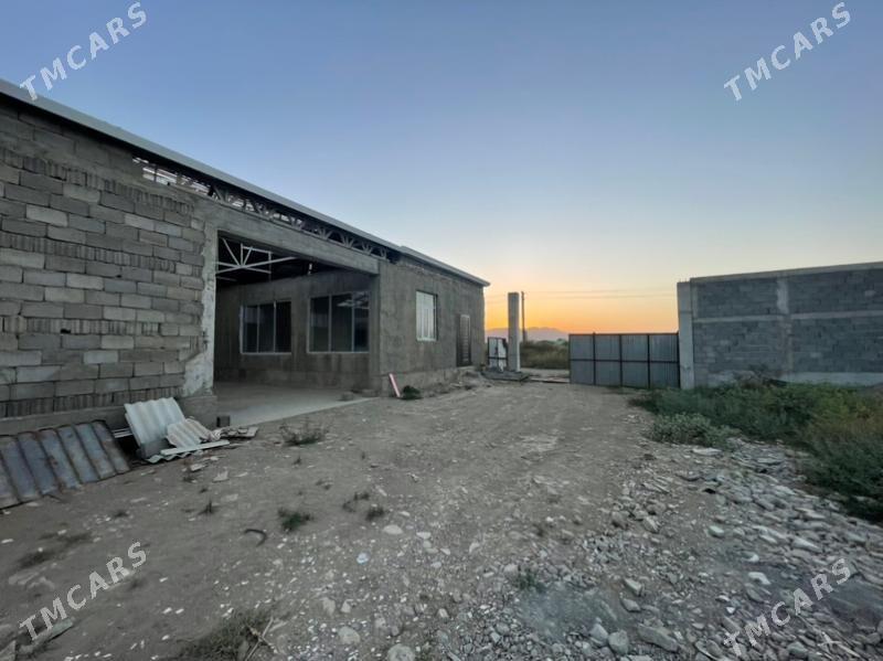 Gökdepe kelejar. - Гёкдепе - img 7