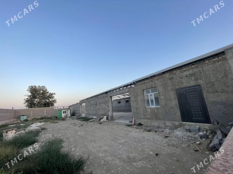 Gökdepe kelejar. - Гёкдепе - img 3