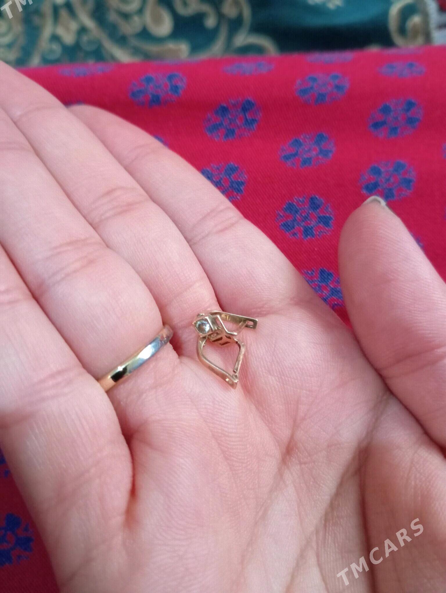 Gyzyl gulakhalka - Gyzylarbat - img 3