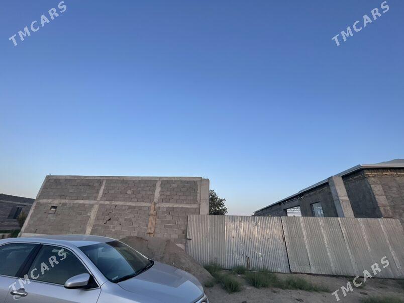 Gökdepe kelejar. - Гёкдепе - img 6