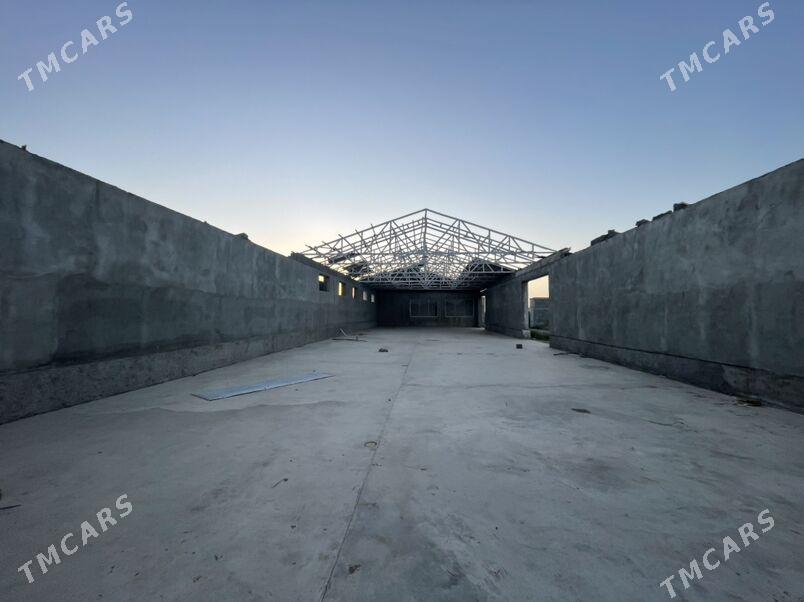 Gökdepe kelejar. - Гёкдепе - img 9