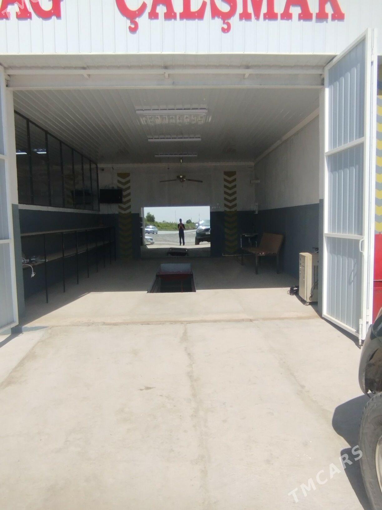 MasynynYağyny calsyan gerek - Mary - img 5