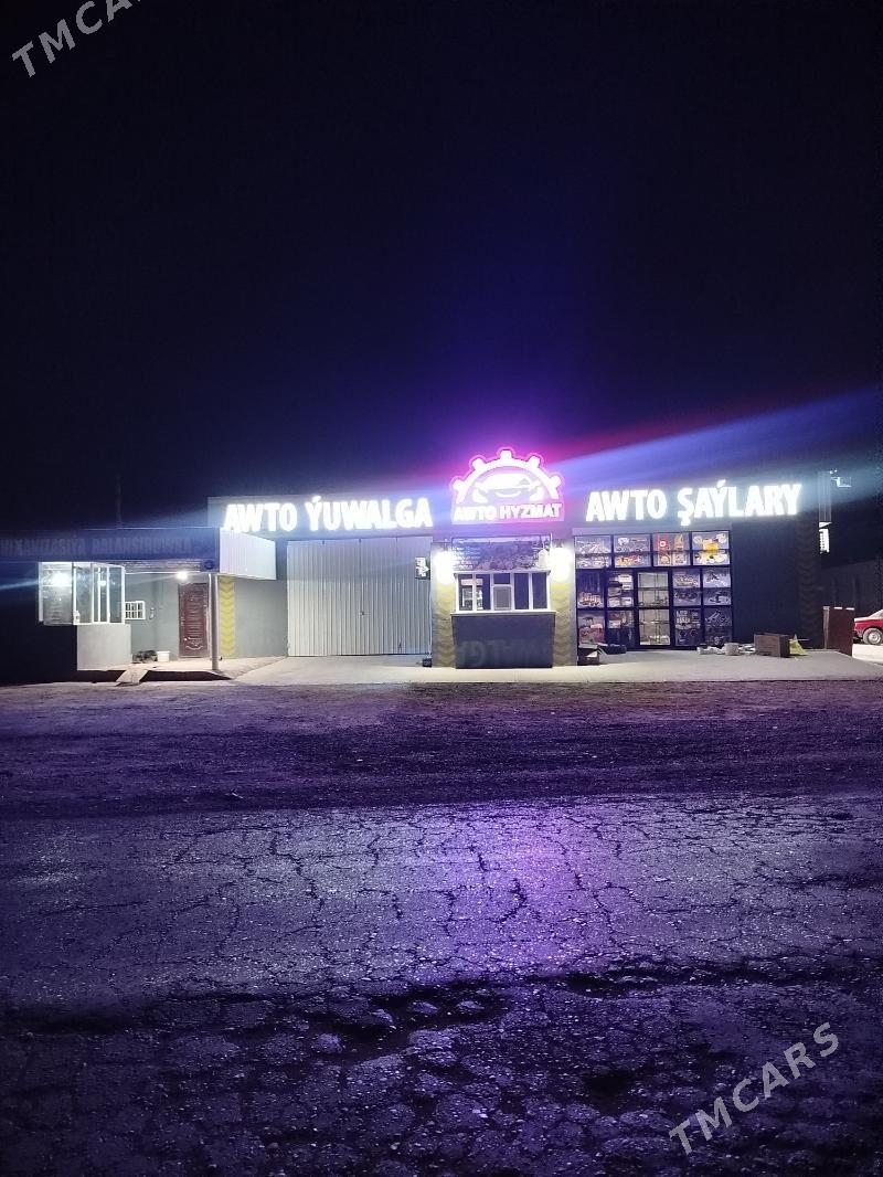 MasynynYağyny calsyan gerek - Mary - img 7