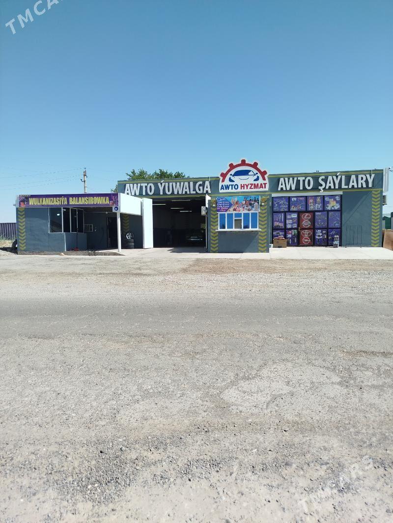 MasynynYağyny calsyan gerek - Mary - img 4