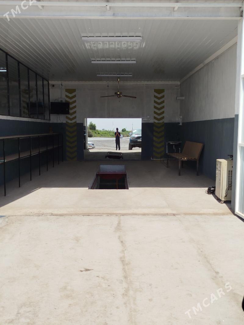 MasynynYağyny calsyan gerek - Mary - img 3