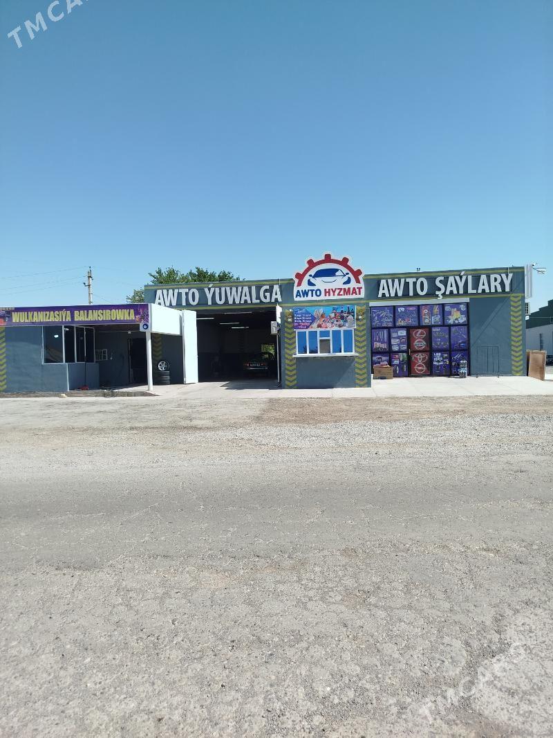 Moyka arenda - Mary - img 2