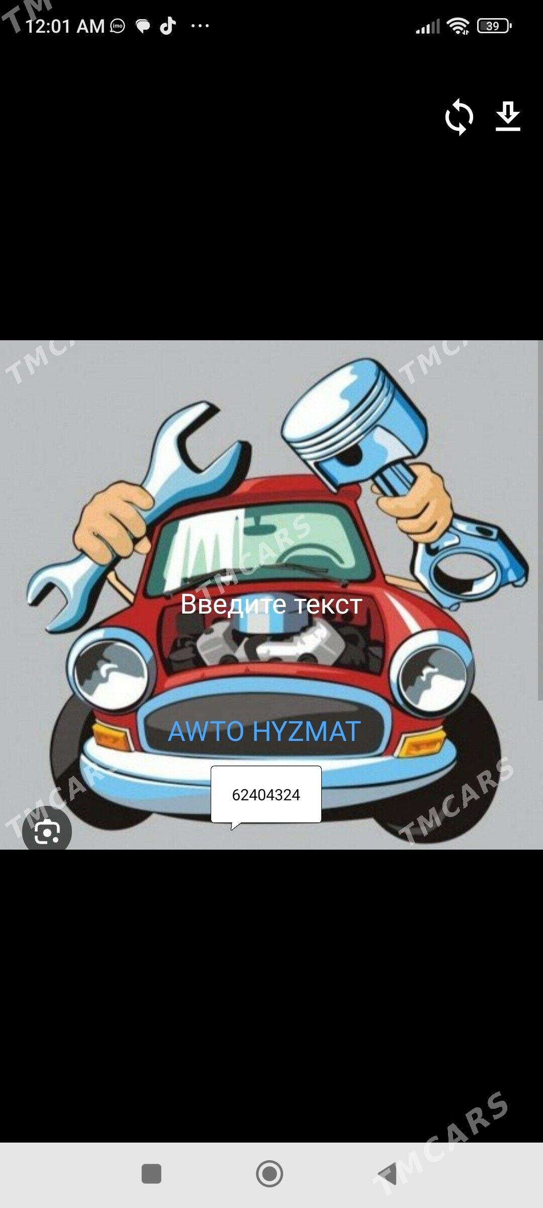 Sywarka we tocna sywarka isci - Mary - img 1