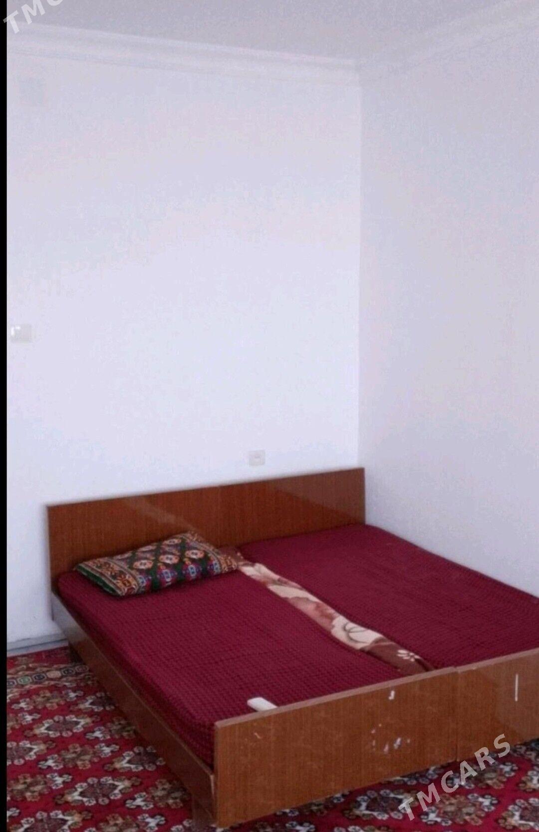 🟪  ELITKA  🟪 - Türkmenabat - img 3