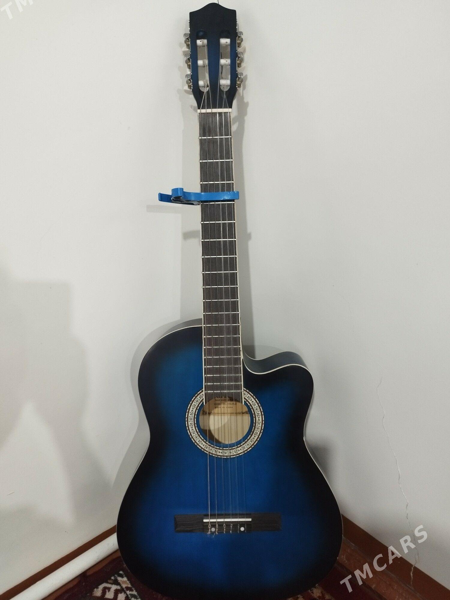 GitaraGitara - Сакарчага - img 1