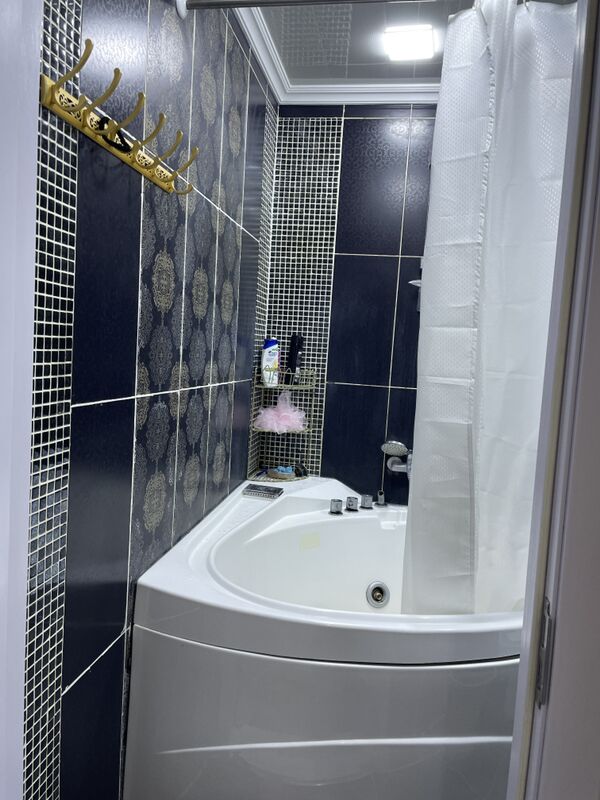 МИР 2 - ул. Туркменбаши шаёлы (Ленина) - img 4